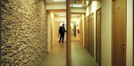 Санавита