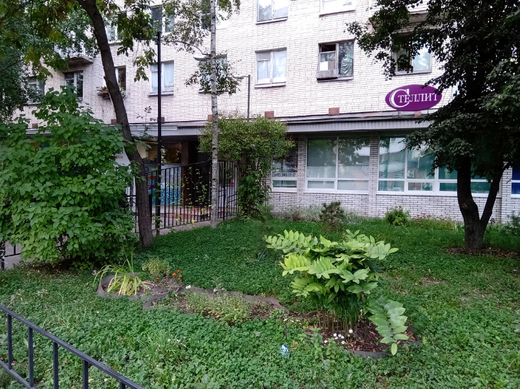 Стеллит
